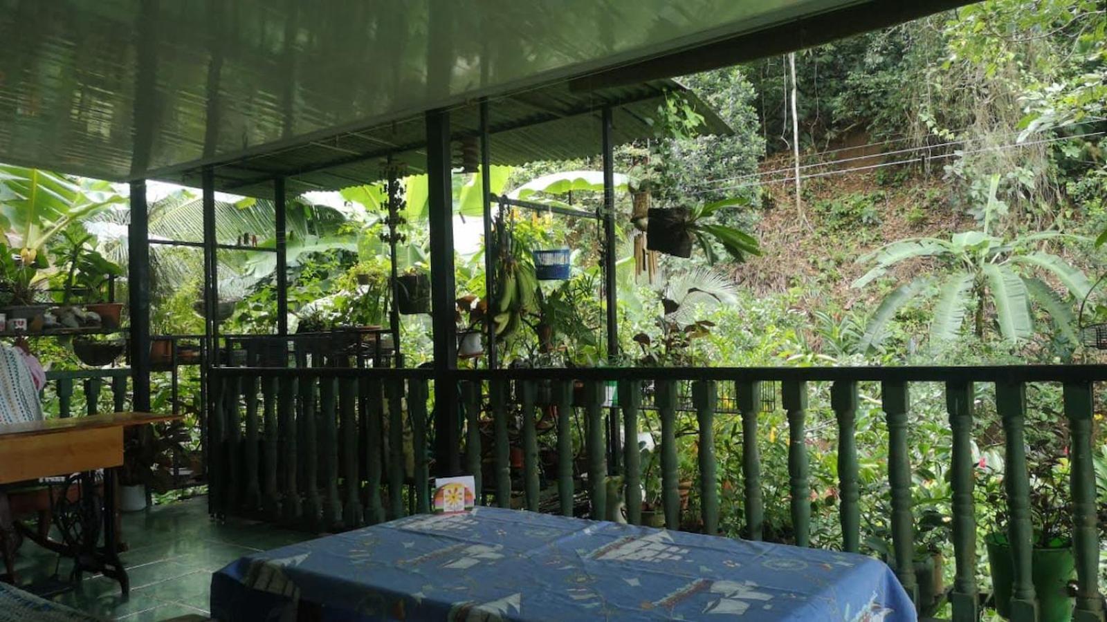 Golfito Maison D'Hotes المظهر الخارجي الصورة